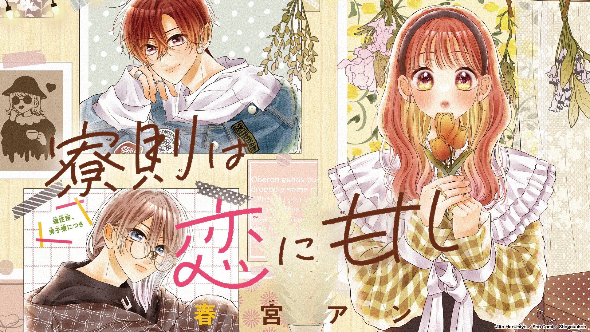 姫羅さま 確認用 Actionhall Ca