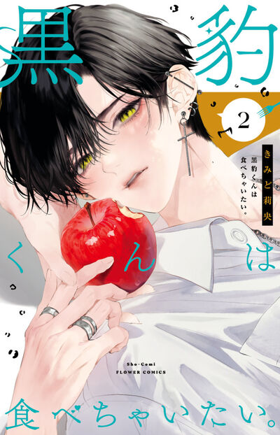 美しく少し危ないセンチメンタルラブ第２巻